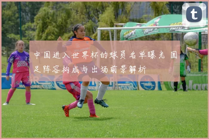 中国进入世界杯的球员名单曝光 国足阵容构成与出场前景解析