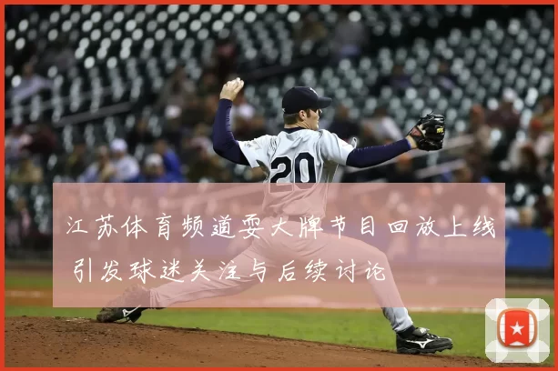 江苏体育频道耍大牌节目回放上线 引发球迷关注与后续讨论